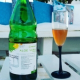 Benefits of GNLD NEOLIFE Aloe Vera Plus Orange – The Immune Booster